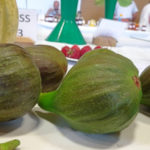 Figs - DSC03067