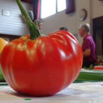 Heaviest Ripe Tomato - DSC03061