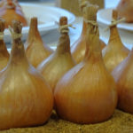 Nine shallots - DSC02968